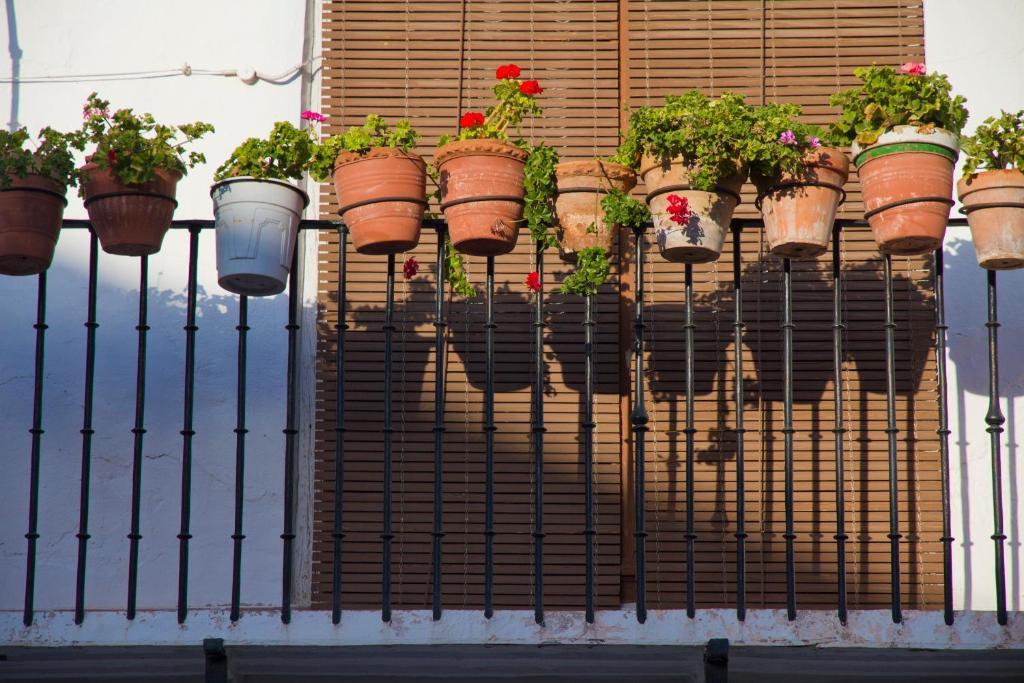 La Casona Del Abuelo Parra Hotell Villanueva De Los Infantes Exteriör bild